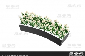花卉3D模型