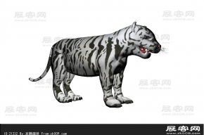 老虎3D模型