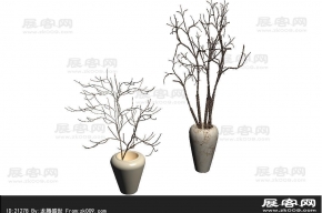 干枝3d模型