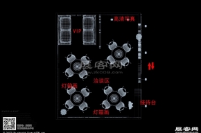 新琪安