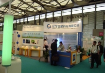2013第十三届世界制药原药中国展