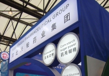 2013第十三届世界制药原药中国展