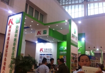 2015年天津冰淇淋展