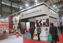 2015上海涂料展11