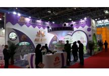 2016年北京婴童展
