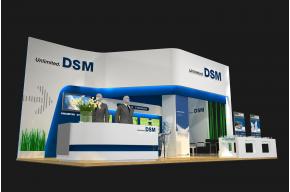 DSM
