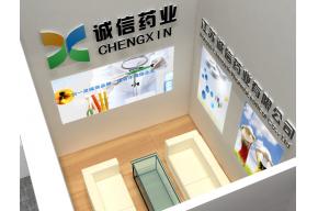 诚信药业展览模型图片