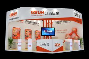 江西巨晟展览模型图片