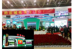 安徽林业展览模型图片