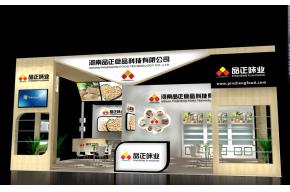 河南品正展览模型