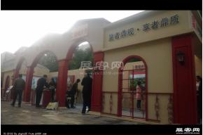 楚霖方案