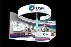 DSM颜料展览展示展台模型