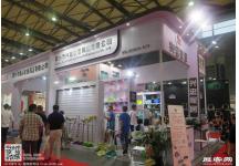2017 第111届日用品展会照片