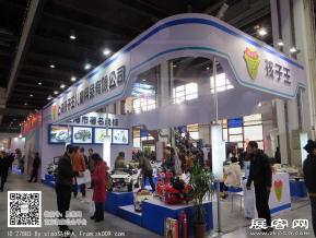 15年玩具展图片照片