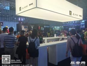 2016年亚洲户外展会图片