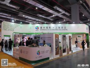 15年广告展图片